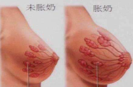 母乳分析和檢測儀器，教你如何緩解漲奶？
