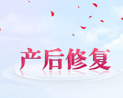好消息！蘇菲特納懷孕，盆底肌康復治療怎么做呢？